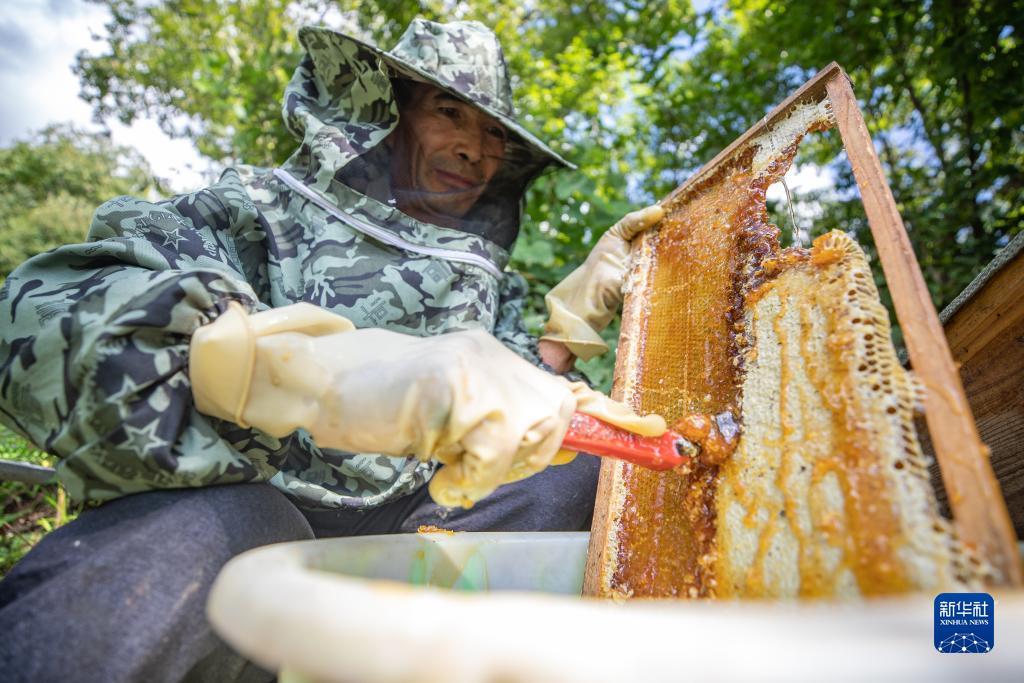 可以赚钱的糖果游戏